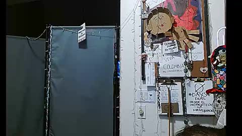 Snapshot of ibpms247 chatting on 12-31-24, 08:37 PMS online show from 12-31-24, 08:37