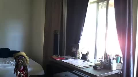 Snapshot of ibpms247 chatting on 10-13-25, 03:45 PMS online show from 10-13-25, 03:45