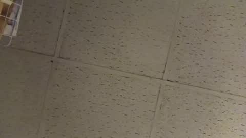 igcognito647033 online show from 02-20-26, 07:54