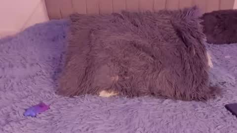 im tiffany  online show from 03-05-26, 04:19