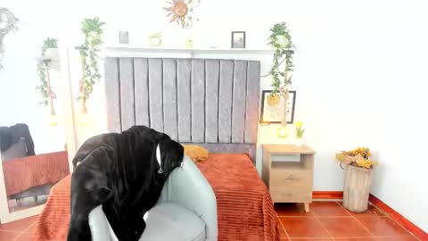 im_tulipan online show from 02-25-26, 07:56