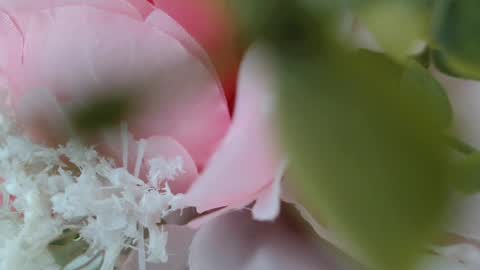 Carrie online show from 02-22-25, 05:24