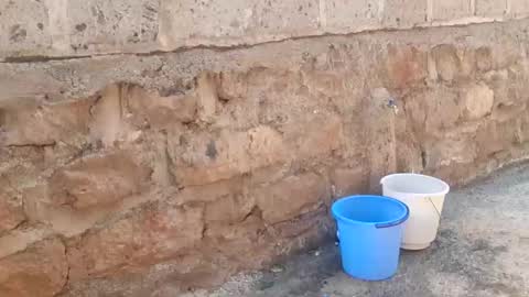 immissv online show from 12-01-25, 11:15