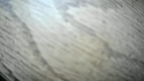 imyobes online show from 01-15-26, 03:49