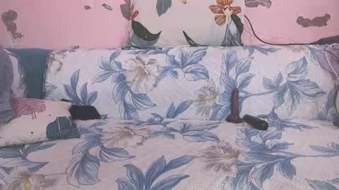 Parul online show from 02-01-26, 10:47