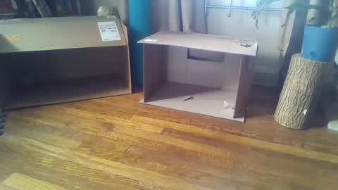 indigo_scorpio online show from 02-07-25, 05:51