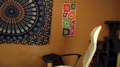 Snapshot of intimatetales chatting on 01-05-25, 08:10 Africa online show from 01-05-25, 08:10