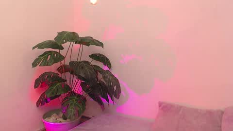 Iirs online show from 04-18-26, 09:04