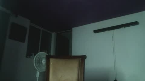 Snapshot of irisbell_ chatting on 01-05-25, 02:49 Camilla online show from 01-05-25, 02:49