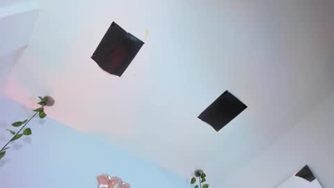   online show from 11-12-25, 08:41