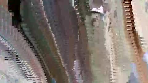 islandbey242 online show from 06-02-26, 03:14