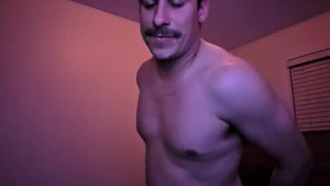 italian_python online show from 11-17-25, 08:42