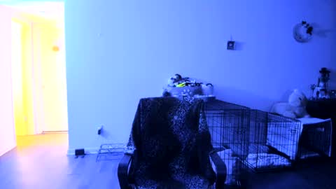 Snapshot of italiana25 chatting on 07-25-26, 07:06 Bella Bloom online show from 07-25-26, 07:06