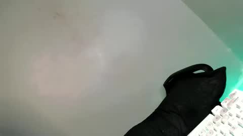 Bella online show from 02-21-25, 07:56