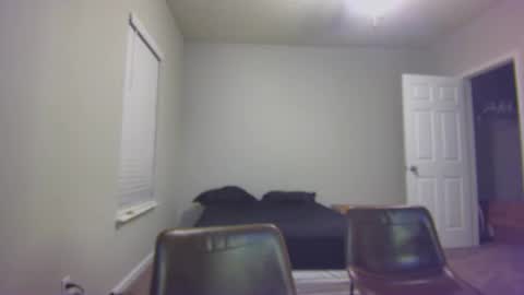 TARZAN online show from 12-24-24, 10:28