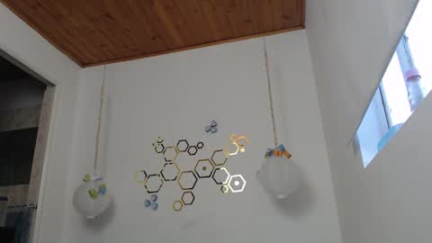 Adris online show from 03-02-25, 10:59