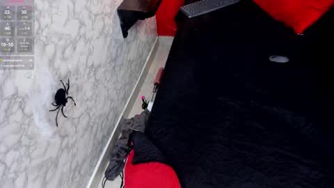 Snapshot of ivisbouncyass chatting on 10-25-25, 01:18 Ivis online show from 10-25-25, 01:18