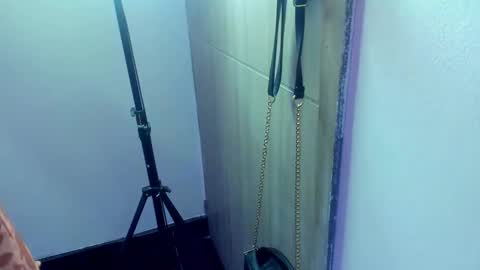 Diana Rojas  online show from 02-04-25, 11:27