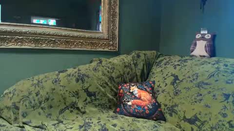 IvyMaven online show from 06-24-26, 06:51