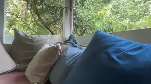 Snapshot of ivysagex chatting on 09-12-25, 01:17 ivysagex online show from 09-12-25, 01:17