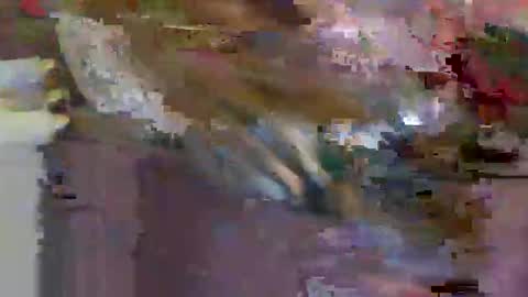 iwantthenutt online show from 03-25-26, 02:50