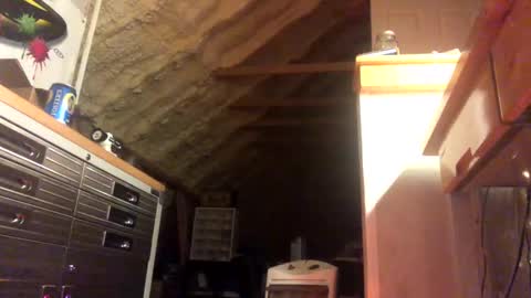 That  Guy  online show from 01-28-25, 02:11