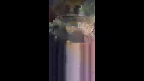 Snapshot of j557894 chatting on 10-31-25, 08:15 j557894 online show from 10-31-25, 08:15