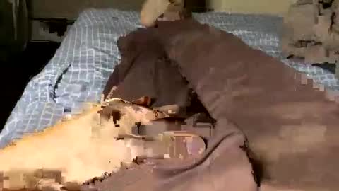 Jaaltar online show from 05-07-26, 05:51
