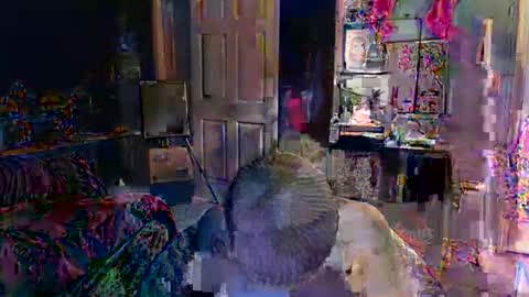 Jade online show from 02-16-26, 10:50