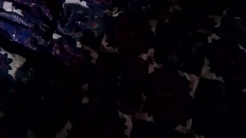 Snapshot of jadon2bnu2nt chatting on 02-02-25, 04:11 Jason online show from 02-02-25, 04:11