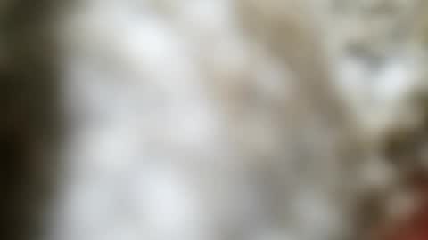 Snapshot of jaimescook chatting on 06-20-26, 12:03 james online show from 06-20-26, 12:03