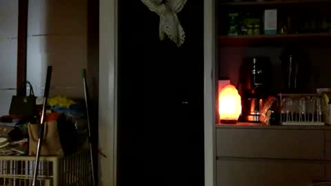 jamesmo820913 online show from 10-25-25, 03:58