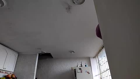 janariivera1 online show from 01-06-26, 04:54