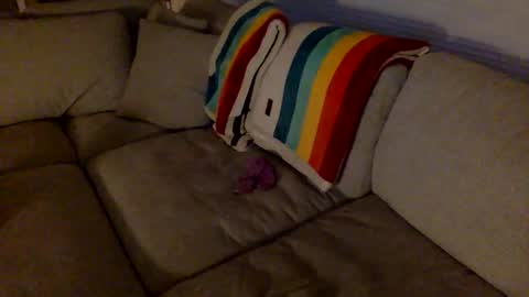 janicepepper online show from 12-18-25, 10:32