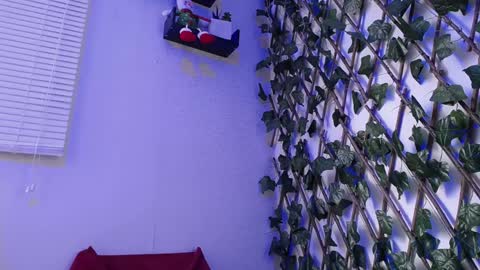 Snapshot of jasson_king01 chatting on 12-17-24, 07:04 JKing online show from 12-17-24, 07:04