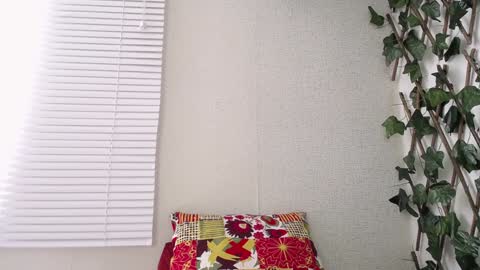 Snapshot of jasson_king01 chatting on 01-08-25, 05:05 JKing online show from 01-08-25, 05:05