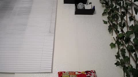 Snapshot of jasson_king01 chatting on 01-15-25, 02:49 JKing online show from 01-15-25, 02:49
