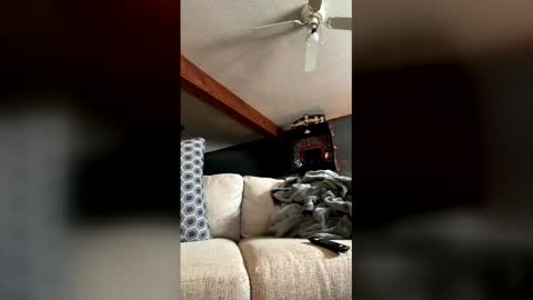 Jaws  online show from 01-05-26, 07:50