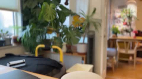 jaxz29 online show from 02-20-26, 08:20