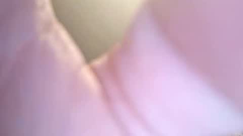 Snapshot of jay56777543234 chatting on 02-08-26, 11:24 jay56777543234 online show from 02-08-26, 11:24