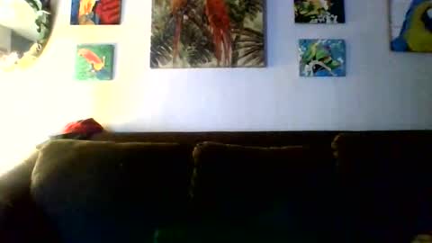 jay-jay1475 online show from 02-11-26, 09:42