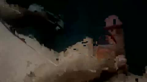Snapshot of jay_peso chatting on 11-18-25, 07:51 Jay Peso online show from 11-18-25, 07:51