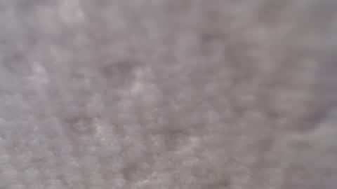 Old Guy Next Door online show from 02-11-25, 11:12