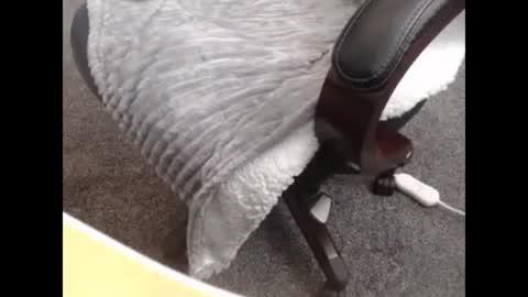 sissy gurl online show from 10-27-25, 10:14