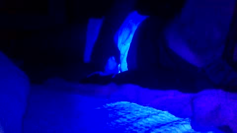 Snapshot of jaysobricked chatting on 02-07-25, 06:35 Jaysobricked online show from 02-07-25, 06:35