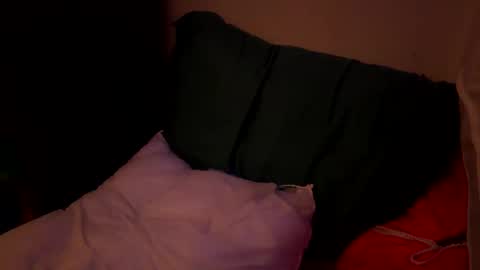 Snapshot of jaysobricked chatting on 10-06-25, 11:40 Jaysobricked online show from 10-06-25, 11:40