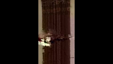 jedpiazza163893 online show from 05-25-26, 07:36