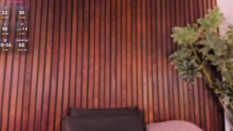     online show from 11-04-25, 01:32