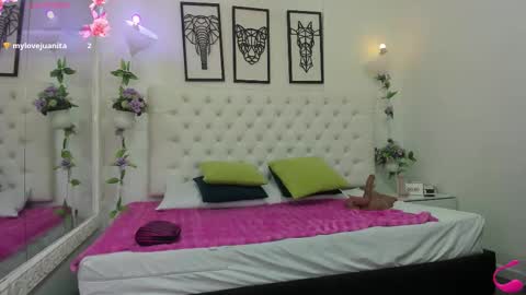 jenny_stark online show from 11-14-25, 11:20