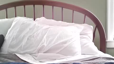 Snapshot of jerkingmanforyou chatting on 03-15-26, 01:39 jerkingmanforyou online show from 03-15-26, 01:39